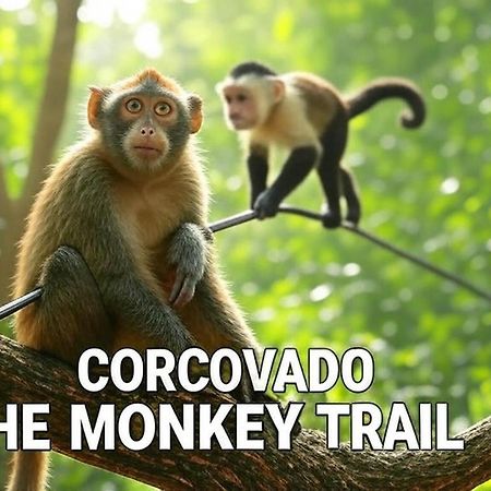 Corcovado The Monkey Trail Otel Drakes Bay Dış mekan fotoğraf