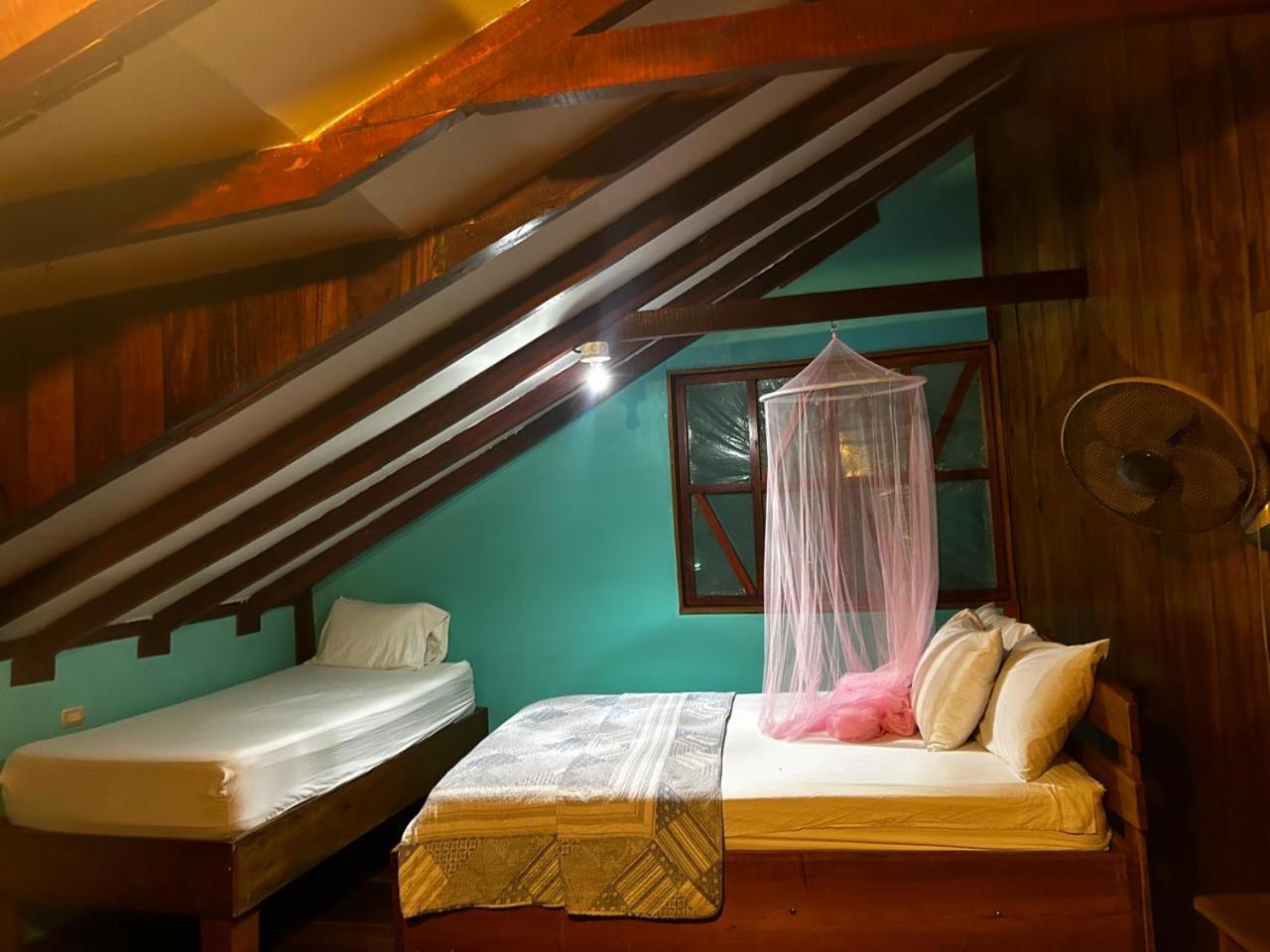 Corcovado The Monkey Trail Otel Drakes Bay Dış mekan fotoğraf